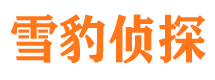 阜南市调查公司